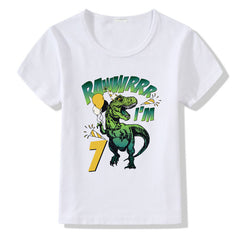 Birthday T-Shirts for Children 1-9 Years Age for Boys & Girls
