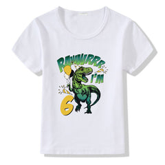 Birthday T-Shirts for Children 1-9 Years Age for Boys & Girls