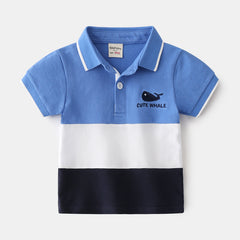 Boys Polo Shirts - Color Block