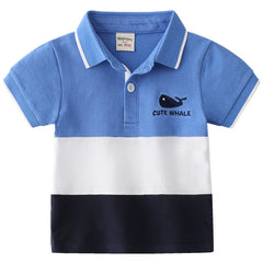 Boys Polo Shirts - Color Block