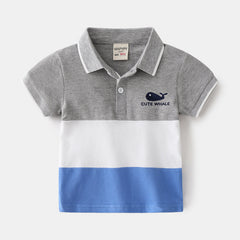 Boys Polo Shirts - Color Block